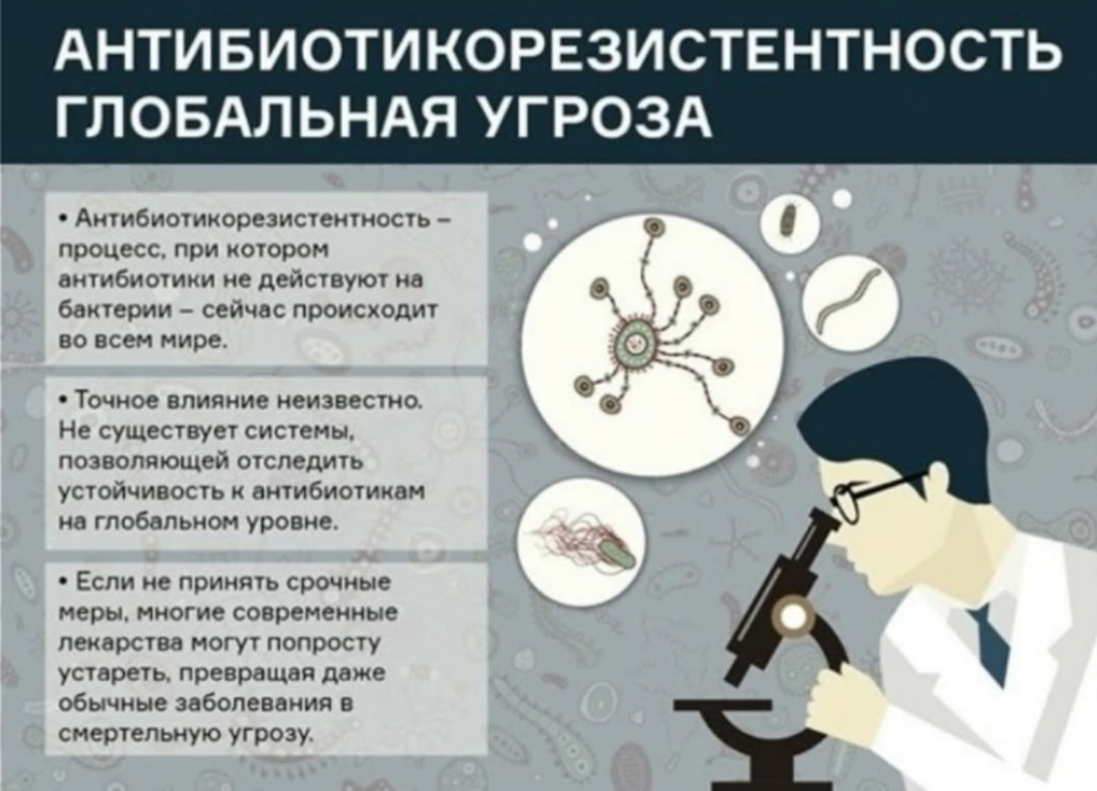 Разумное использование антибиотиков